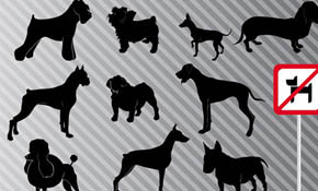 Vector Dog Graphics